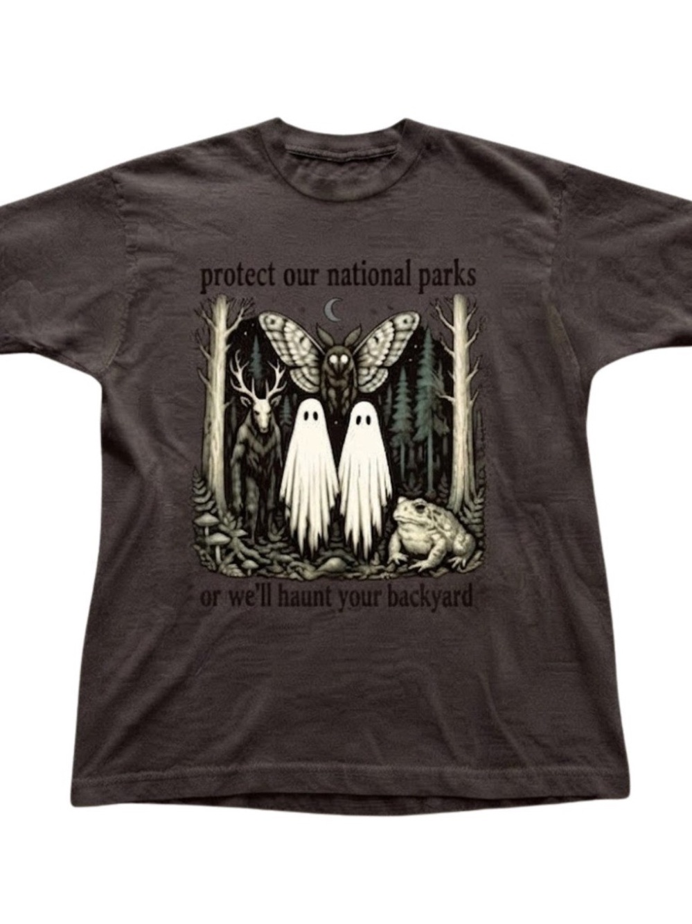 National Parks Ghost Graphic Tee Brown Cotton Gildan T-Shirt